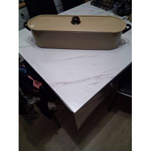 Grande Poissonni&egrave;re En Inox Marron - Occasion