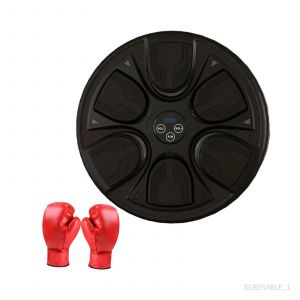 Machine De Musicale, Cible Murale Électronique Pour Fitness, Karaté, - Occasion