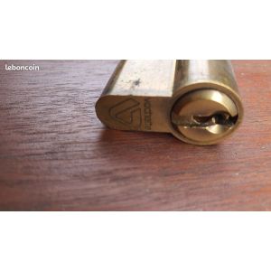 Barillet de serrure Vachette 20 X 20 - Occasion