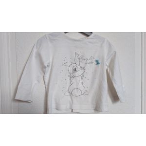 Haut B&eacute;b&eacute; Fille Disney Panpan Bunny Taille 6 Mois Id&eacute;e Cadeau - Occasion