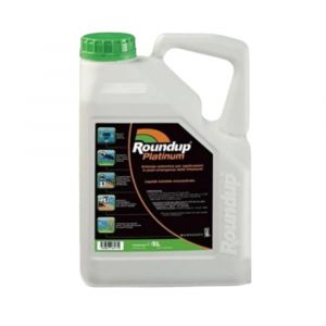 DEBROUSSAILLANT - Occasion