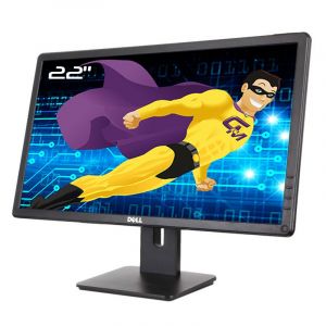 Ecran PC 21.5" DELL E2214Hb 02RK1Y 2RK1Y VGA DVI VESA 16:9 Wide - Occasion