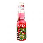 Ramune Hatakosen Soda Watermelon (DojoDragons, neuf)