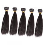 VICASKY 5pi&egrave;ces Lot De Perruques Synth&eacute;tiques Noires Pour Poup&eacute;e Cheveux Longs Et Droits Maille &Eacute;lastique Maintien Con&ccedil;ues Pour Usage Maison Et Scolaire (Covenant of Nauru, neuf)
