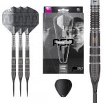 Target Darts Nathan Aspinall x Echo Jeu de fl&eacute;chettes Swiss Point 90% tungst&egrave;ne avec Pointe en Acier &ndash; Fl&eacute;chettes ASP Player Edition 23G, tiges Pro Grip et ailettes Pro Ultra n&deg;2, Outil SP Inclus (ManuelGil, neuf)