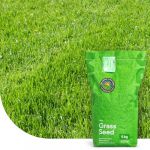 Turbo Green: Semence Gazon Regarnissage | 5 kg - 250 m&sup2; | Germination rapide | Gazon dense et bien vert | Grande tol&eacute;rance au pi&eacute;tinement (MRS Seeds & Mixtures, neuf)