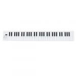 Piano Pliable 61 Touches, Clavier et Durable, Fonctionnalités Multiples, Compact et Portable, Accompagnement Inclus, pour étudiants, Professionnels, avec Touches (Qinqinzi, neuf)
