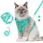 VavoPaw Ensemble Harnais et Laisse pour Chat Anti-évasion, Harnais Ajustable pour Chaton avec Bande Réfléchissante, Filet Respirant, Gilet de Sécurité Souple pour Chat, Chaton, Chiot, M, Bleu (Shenzhenshi xingyunda maoyiyouxiangongsi, neuf)
