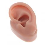 PACKOVE Mod&egrave;le Oreille Silicone R&eacute;utilisable Mod&egrave;le Oreille Humaine Simul&eacute;e Pour Entra&icirc;nement Au Piercing (Spring TU, neuf)