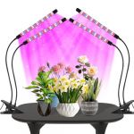 2Pack Lampe de Croissance LED 2 T&ecirc;tes,Lampe pour Plantes &agrave; Spectre Complet avec Minuteur,3 Modes de Couleur et 5 Niveaux de Dimming,LED pour Plantes d'Int&eacute;rieur (Rouge+Bleu) (5stargrow, neuf)