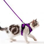 Wdmiya Harnais Chat Petit Chien Laisse Harnais Chaton Réglable Gilet Refléchissant Respirant, Collier Harnais et Laisses Sécurité Anti-évasion pour Lapin Chats et Chiots (S, Violet) (w&d, neuf)