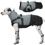 Hjumarayan Manteau d'Hiver pour Chien - Imperm&eacute;able avec Harnais, Veste Chaude Doudoune, Manteau Bouledogue Fran&ccedil;ais, Noir XL (Hjumarayan, neuf)