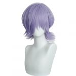 Perruque de cosplay violette cheveux longs Anime Hunter Halloween Carnaval Jeu de rôle Fête Costume Perruques Accessoires Femme (Violet-Mystery, Taille unique) (shanxixunmengchuanmeiyouxiangongsi, neuf)