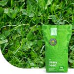 Clover Lawn : Semences de gazon avec micro-tr&egrave;fle - 1 kg pour 50 m&sup2; - Pelouse luxuriante et durable - R&eacute;sistante &agrave; la s&eacute;cheresse - Peu d&rsquo;entretien - Id&eacute;ale pour les zones ombrag&eacute;es (MRS Seeds & Mixtures, neuf)