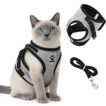 AUYAO Harnais pour Chat, 2Pcs Harnais Respirant Souple Réglable, Gilet Harnet Maille Réfléchissant-Anti Évasion & éclatement-avec 1.5m Laisse, pour Chaton, Chiot, Chat Adulte(S) (Yadark, neuf)