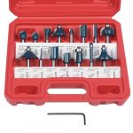flintronic Fraises Defonceuse 6.35mm, Coffret de 15 Fraises Tige de 6.35mm 1/4", Coupe-outils pour Travail Bois à Pointe en Carbure de Tungstène, Tige Forets en Acier Forgé (XJYEU, neuf)