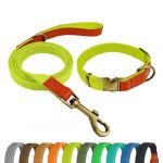 QRDA Ensemble Collier et Laisse pour Chien Jaune Fluorescent Collier Personnalisé Ceinture Tactique Réglable pour Chien Petits Chiens Chiens Moyens (QianRuidDa, neuf)
