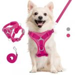 VavoPaw Ensemble Harnais et Laisse pour Chat Anti-évasion, Harnais Ajustable pour Chaton avec Filet Respirant, Bande Réfléchissante, Gilet de Sécurité Souple pour Chat, Chaton, Chiot, L, Magenta (SiuMed EU, neuf)