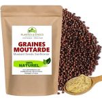 Graine De Moutarde Noir Naturelles 100g - Sachet Fra&icirc;cheur Herm&eacute;tique Refermable (100g) (PLANTES & EPICES, neuf)