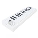 Clavier de Piano Pliable à 61 Touches, Clavier électrique pondéré, Clavier de Musique Numérique Portable pour Piano de Voyage pour Débutants, avec Lecture D'enregistrement (Bindpo, neuf)