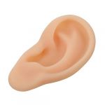 Anneome Modèle Oreille Silicone pour Enseignement et Pratique Médicale Modèle Réaliste pour Acupuncture et Affichage à Hôpital (Zzenpu, neuf)
