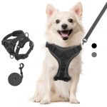 VavoPaw Ensemble Harnais et Laisse pour Chat Anti-évasion, Harnais Ajustable pour Chaton avec Filet Respirant, Bande Réfléchissante, Gilet de Sécurité Souple pour Chat, Chaton, Chiot, L, Noir (SiuMed EU, neuf)