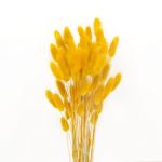 JKDHJK 50 Pcs Herbe De La Pampa Fleurs Séchées Ne Se Fanent Jamais Fleur Sechees Décoration Naturelle Boheme Fleurs Déco Anniversaire Décoration Mariage Décoration Maison (Jaune Moutarde) (TENGSHENG, neuf)