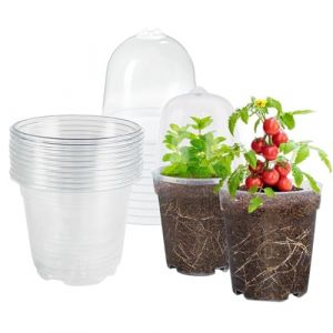trabag Lot de 10 Pot Plastique Plante avec Couvercle, 10cm Pot Orchid&eacute;E Transparent, Ronds, en Plastique Transparent, pour Plantes Grasses, Graines, Semis (tangchao-UE, neuf)