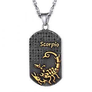 Collier Scorpion Signe Astrologique Plaqué Or AAA+CZ en Strass Brillante-Pendentif Plaque Dog Tag Zodiac avec Délicate Chaîne Réglable 22+2 pouce,Cadeau Anniversaire pour Garçon,Homme (Boîte à bijou) (Richsteel Jewellery, neuf)