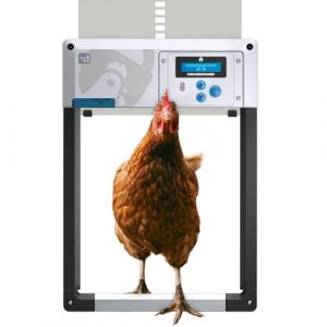 Porte poulailler Automatique 'ChickenGuard All-in-One'. Écran LCD programmable, Mode Hiver Puissant, Capteur de Lumière/Minuterie, Arrêt de Sécurité, Porte/Trappe en Aluminium (Gris + Piles) (Doodlehouses SL, neuf)