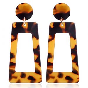 Femmes Argent Boucles D'Oreilles, Boucles D'Oreilles En Acrylique Léopard Boucles D'Oreilles Pour Femmes Grande Boucle D'Oreille Géométrique Longue Pendante Bijoux Brincos Cadeaux D'Anniversaire (tian jin shi ai pin ge shang mao you xian gong si, neuf)