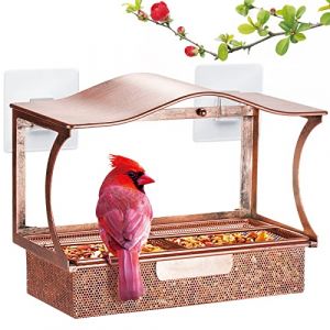 HouseSapp Mangeoire pour oiseaux de fenêtre, en métal, protection contre la rouille, avec 4 ventouses ultra puissantes, mangeoire pour oiseaux, balcon (maolingfeimaoyi, neuf)