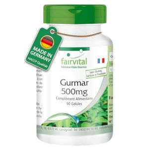 Fairvital | Gurmar 500mg - 90 g&eacute;lules - Gymnema Sylvestris - qualit&eacute; contr&ocirc;l&eacute;e et hautement dos&eacute; - 100% v&eacute;g&eacute;talien - Fabriqu&eacute; en Allemagne (Fairvital - substances vitales bioactives, neuf)