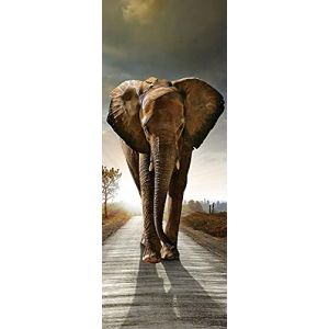 A.Monamour Sticker Porte Autocollant Poster De Porte 3D Gros Éléphant Marchant sur Le Thème des Animaux Sauvages De La Route Vinyle Affiche De Porte Sticker Mural Papier Peint Art Décor 90 x 200 cm (A.Monamour Boutique, neuf)