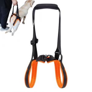 Renchey Soutien pour Pattes Arri&egrave;re De Chien | Sangles De Portage Respirantes De Maintien | Harnais De Soutien des Pattes Arri&egrave;re des Chiots - pour Chiens &Acirc;g&eacute;s Handicap&eacute;s Bless&eacute;s De Taille Moyenne Et (Renchey, neuf)