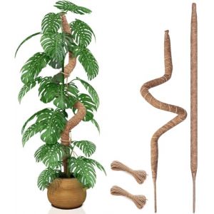 2 Pi&egrave;ces 70 cm Poteau en Mousse Flexible pour Plantes Monstera, Grands Poteaux en Mousse pour Plantes Grimpantes d'Int&eacute;rieur, Support de Grande Taille, Tuteurs en Mousse pour Jardin (QLZS, neuf)