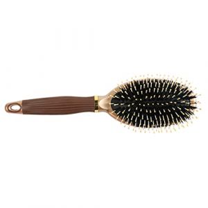 FOMIYES 1 Brosse À Cheveux En Poils De Sanglier Avec Manche En Plastique Et Peigne De Massage Pour Cheveux - Outil De Coiffure Statique (Family&Personal, neuf)