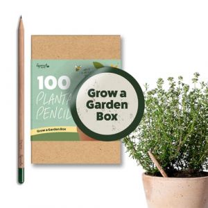 Les crayons en bois SproutWorld | Grow A Garden Box | Crayons en bois HB prétaillés avec graphite plantable et 4 types de graines assorties | Bois certifié | Pack de 100 | (SproutWorld, neuf)