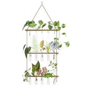 Bamworld Station de Propagation avec 15 Tubes &agrave; Essai et Support Bois,Accessoire Jardinage pour Boutures et Hydroponie,D&eacute;coration Int&eacute;rieure pour Plantes Grasses,Suspension Plante,Porte Plante Mural (Bamworld, neuf)