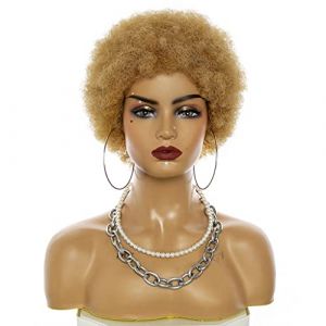 Réfractaire Afro perruques pour les femmes noires cheveux humains courts cheveux bouclés perruques noires pour les femmes noires plein d'entrain et doux Afro perruques de cheveux humains Ajustable (jinghaohao, neuf)