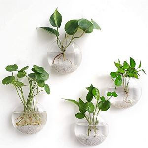 Lot de 4 Pots de Fleurs Muraux &agrave; Suspendre en Verre Transparent pour Plantes A&eacute;riennes, Tillandsia, Hydroponiques, Aquatiques - D&eacute;coration Murale (FCFengchen, neuf)