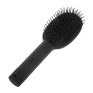 WOONEKY Boîte De 2 Pièces Rouleau Peigne Bijoux Peigne à Peau De Caisse Pinceau Caché Secret Cachette De Détournement De Peigne à Cheveux Compartiment Plastique Black (Jan Yagers, neuf)