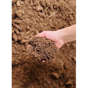 Tourbe Blonde de sphaigne 150L (Environ 25 kg) – Support de Culture Naturel – Fabrication terreau, paillage, amendement – Conforme NF U 44-551- Disponible également 8kg et 4kg (MGI_FRANCE, neuf)