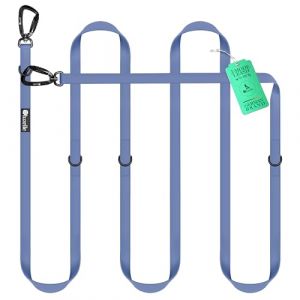 BLUZELLE Laisse Chien 3m Imperméable, Longe Biothane PVC Ajustable Réglable, Laisse Double pour 2 Chiens Laisse Mains Libres, 2X Grand Mousqueton 360° en Aluminium Extra Solide, Couleur:Bleu (BF-Commerce GmbH, neuf)