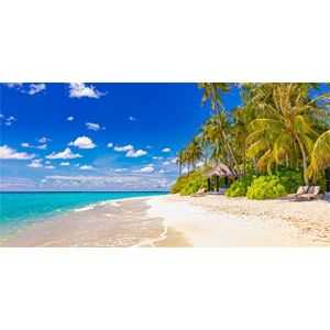 MIRRORANG 91x41cm Fond d'aquarium Tropical Ciel Bleu Palmiers de mer Fond d'aquarium (MIRRORANG Shop EU, neuf)