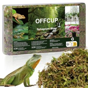 OFFCUP 1000g Sphaigne pour Plante, Sphaigne Fraîche Compressée pour Orchidées Mélange Pot, Mousse Naturelle pour Reptiles, Tuteur en Sphaigne Substrat de Culture Naturel (1000g) (HOOCHE, neuf)