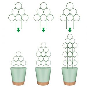Lot de 4 treillis en m&eacute;tal pour plantes d'int&eacute;rieur &ndash; Support pour plantes grimpantes et fleurs grimpantes, treillis de jardin d'int&eacute;rieur pour plantes grimpantes (vert) (foshanshixinglin, neuf)