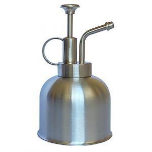 LianShi Flacon pulv&eacute;risateur en Acier Inoxydable pour Plantes-Petit arrosoir-Outils de Jardinage Modernes pour Plantes en Pot d'int&eacute;rieur-Arrosage et pulv&eacute;risation (Argent Mat, 0.3L) (LianShi FR Store, neuf)