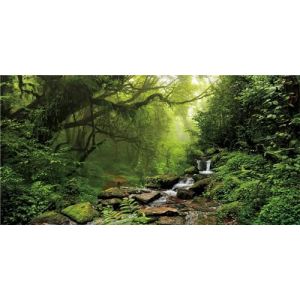 MIRRORANG 120x46cm Forêt Tropicale Humide Terrarium Fond Cascade Aquarium Fond lac Eau Brumeux Arbre Vert Reptile Habitat Fond Durable Vinyle Fond (MIRRORANG Shop EU, neuf)