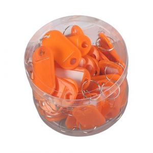 GizmoSynth Lot de 50 &eacute;tiquettes porte-cl&eacute;s en plastique avec &eacute;tiquettes d'identification pour bagages, Orange, S (Bviong, neuf)